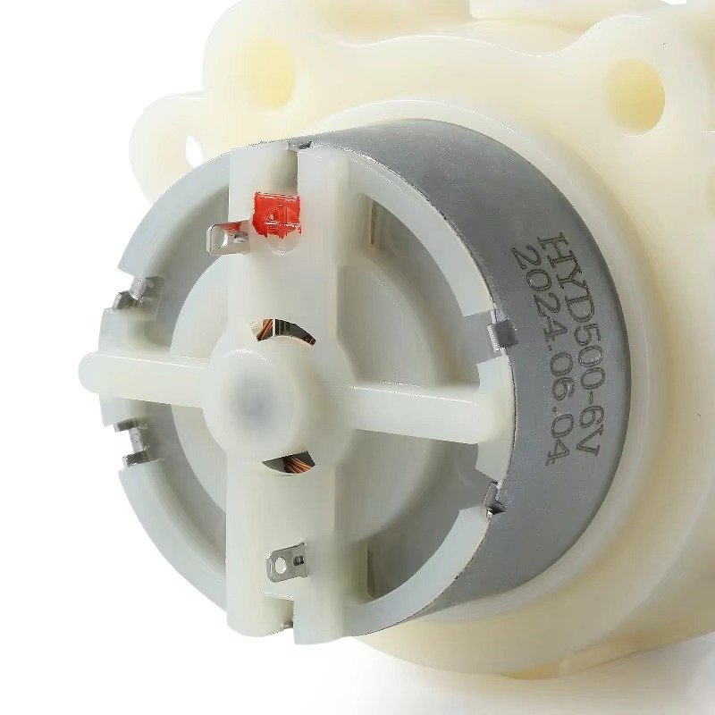 Pompa peristaltica micro DC 12 - Mini Peristaltic Pump 12V recensione e prezzo
