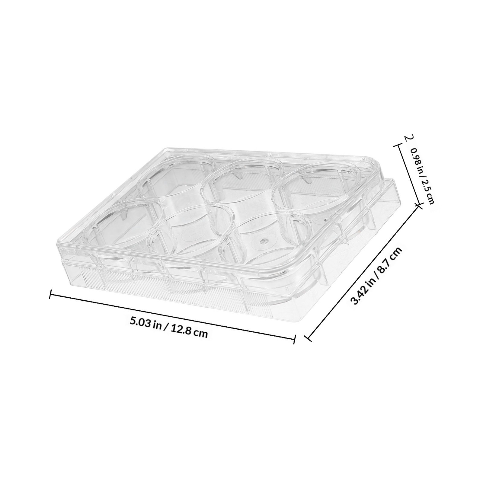 Piastra per colture cellulari  - Lab Equipment recensione e prezzo